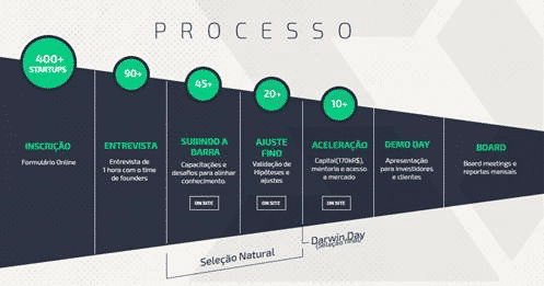startups de seguros