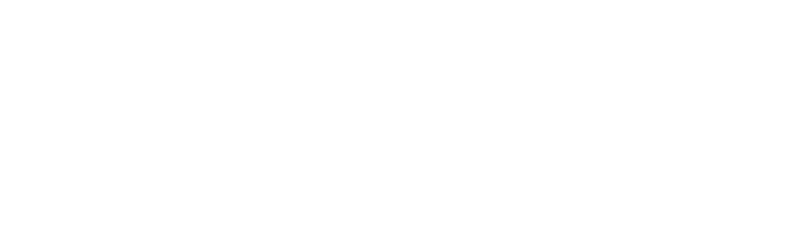 BIC pb