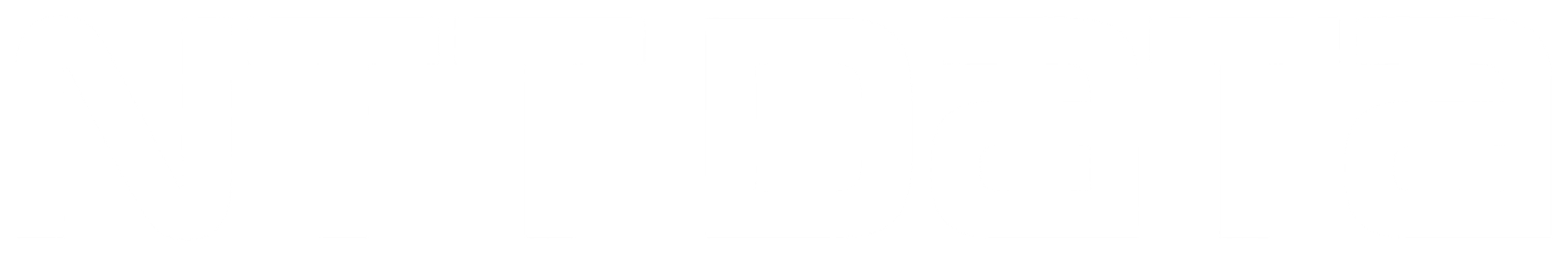 NTT Data branca